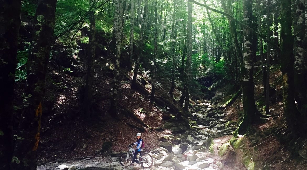 Irati forest on Bike. Irabia | BIKING THROUGH SPAIN